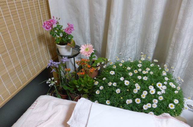 ���I���@�I�����Î���