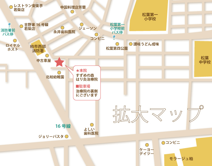 ���I���@�����߂̐X